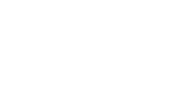 Limbformation logo